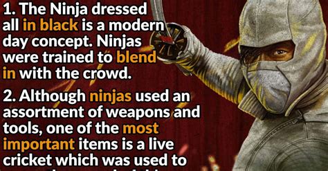 the truth about ninjas